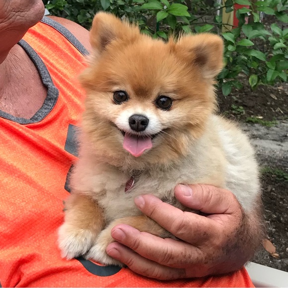 Meet your Posher! 🙋🏻♀️ - Picture 9 of 11